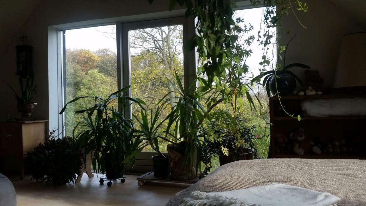 Double Room Garden View,868046555:JPEG
